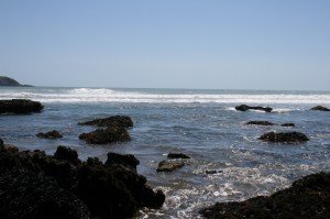 Maori Bay near murawai beach ( west coast )